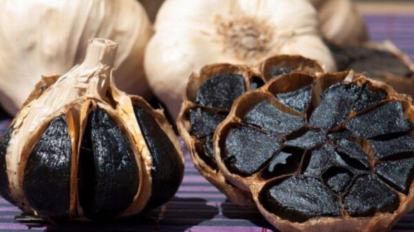 Extracto de Ajo Negro x 30gr.