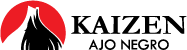 kaizenajonegro.com